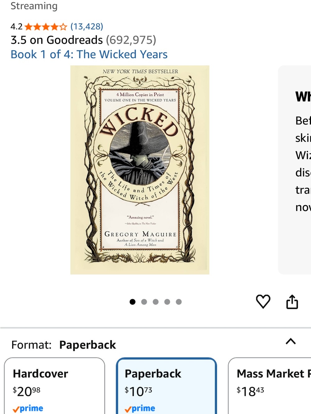 Wicked Book - 4 book series